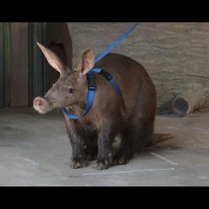 Meet your Posher, Scott